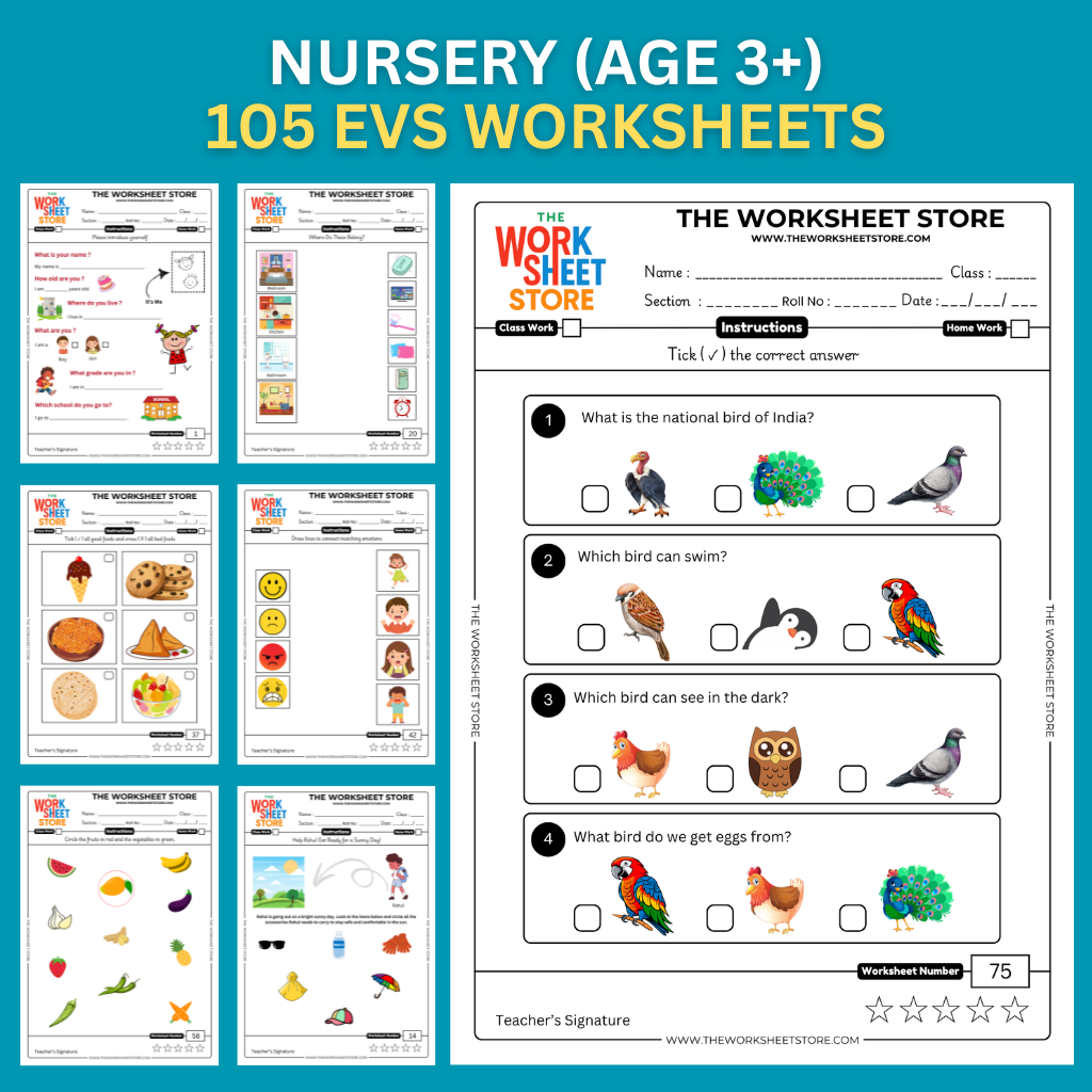 EVS Worksheets for Nursery (Age 3+) | 105 Pages