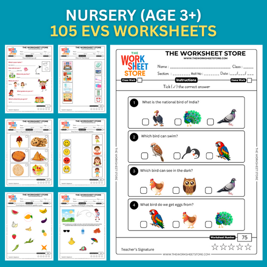 EVS Worksheets for Nursery (Age 3+) | 105 Pages
