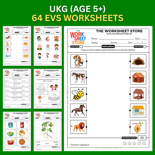 EVS Worksheets for UKG (Age 5+) | 64 Pages